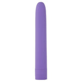 Eezy Pleezy 10 Speed 18cm Purple Bullet Vibrator Purple BULLETS