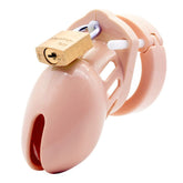 Cockcage CB-6000S Pink 2.5 Inch Chastity Device Default Title Cages
