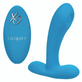 Remote Controlled Pulsing Pleaser Vibrator Rechargeable Panty Vibrators