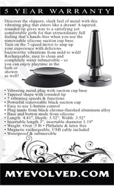 Evolved Beginner Vibrating Metal Plug Butt Plugs