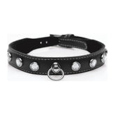 Bling Vixen Leather Choker with Clear Rhinestones Unisex Leather