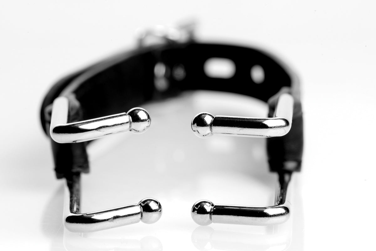 Claw Hook Mouth Spreader – Durable Resin Material Mouth Spreader Device > Bondage Gear > Gags and Bits