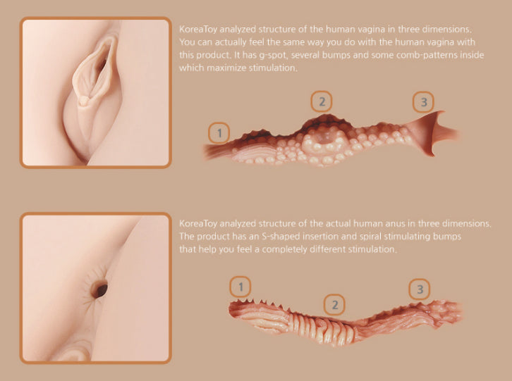 Real Hip Hera 1:1 Ultra Realistic Hip > Sex Toys For Men > Assbators