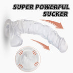 Kennard Dong w Balls Clear L 25cm Long with Suction Base > Dildos > Realistic Dildos