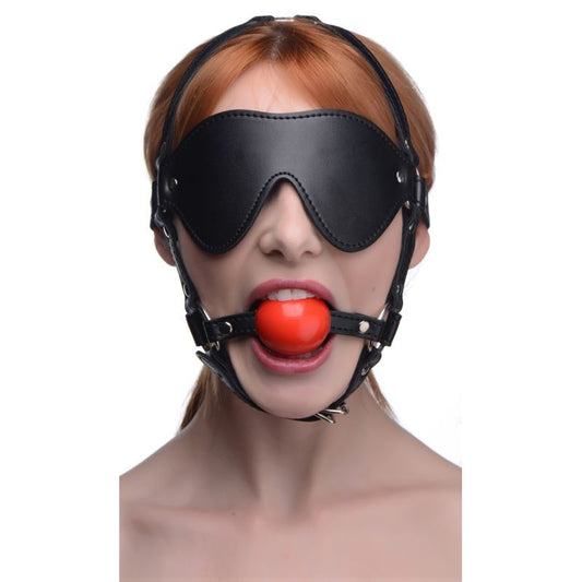 Blindfold Harness w Ball Gag