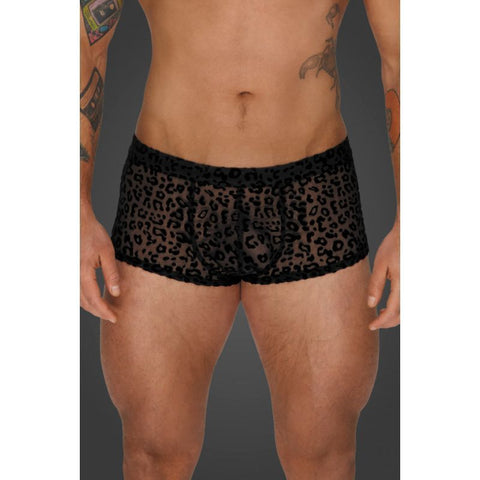 Noir Sheer Animal Print Pants – Form-Fitting Transparent Powernet Pants > Clothes > Mens Briefs