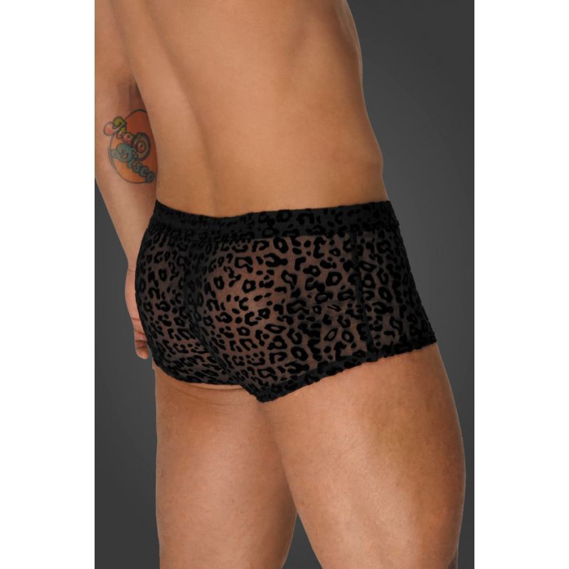 Noir Sheer Animal Print Pants – Form-Fitting Transparent Powernet Pants > Clothes > Mens Briefs