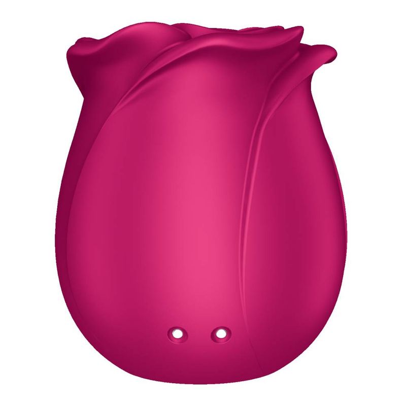 Satisfyer Pro 2 Classic Blossom – Air Pulse Vibrator > Sex Toys For Ladies > Rose Stimulators