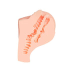 Juicy Butt Masturbator Paula with Textured Features > Sex Toys For Men > Assbators