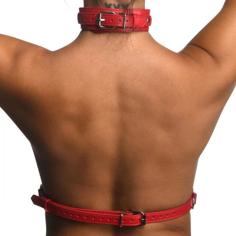 Red Female Chest Harness Size S/M Womens Harnesses