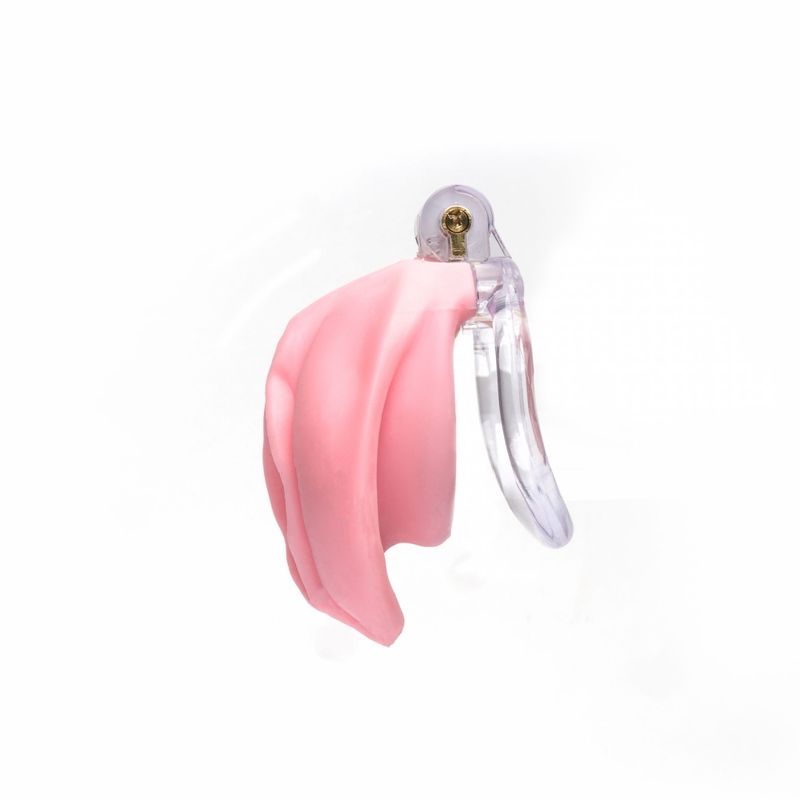 Pussyfyer Pussy Chastity Cage Secondary image