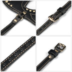 Rebellion Reign Cat Mask – Sensual Accessories > Bondage Gear > Masks