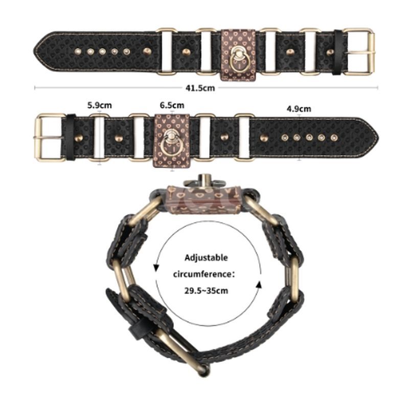 Rebellion Reign Hogtie Set – Vintage-Style Bronze Spikes Bondage Set Medical Themed