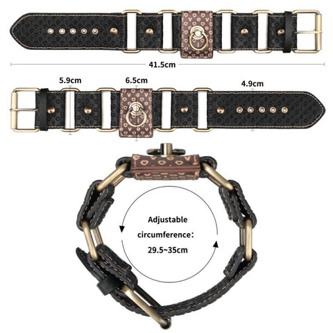 Rebellion Reign Hogtie Set – Vintage-Style Bronze Spikes Bondage Set Medical Themed