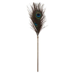 Taboom Dona Peacock Tickler – Elegant Feather Sensation Toy > Bondage Gear > Ticklers