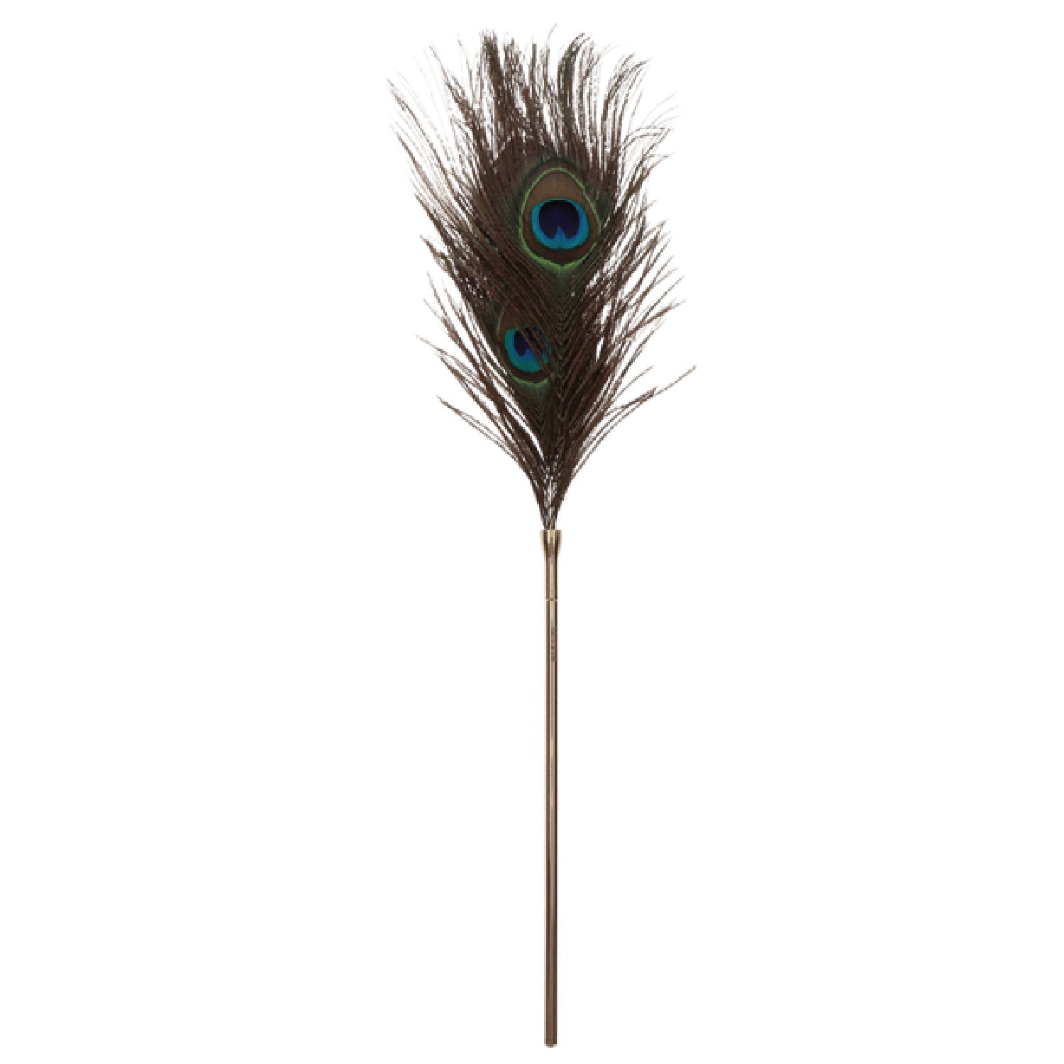 Taboom Dona Peacock Tickler – Elegant Feather Sensation Toy > Bondage Gear > Ticklers