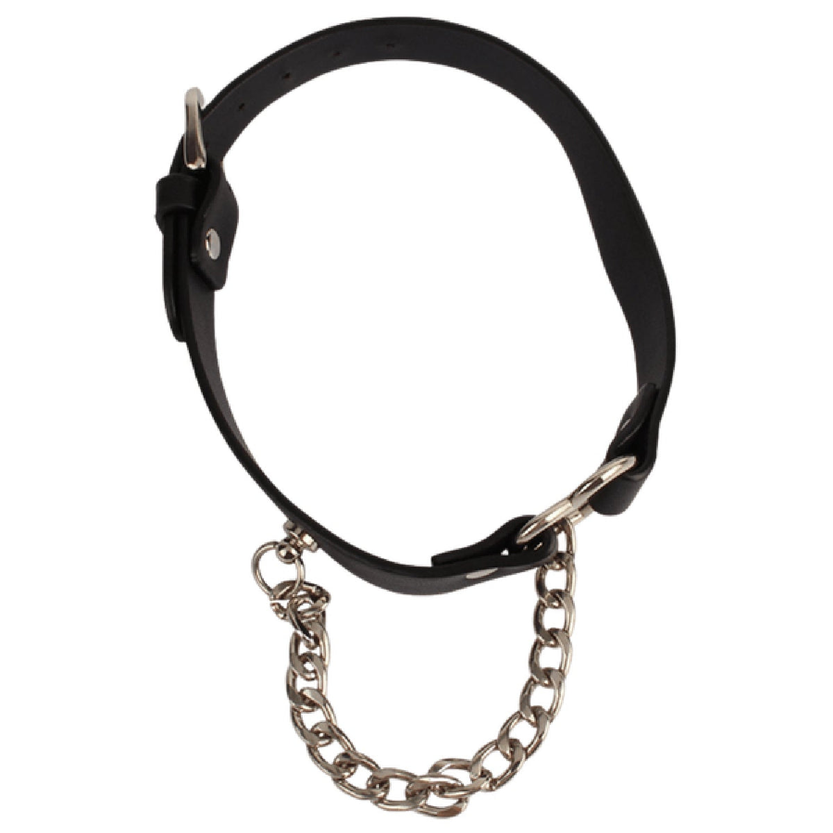 Heart Collar with Lockable Buckle and Chain – Bondage Collar > Bondage Gear > Collars & Leashes