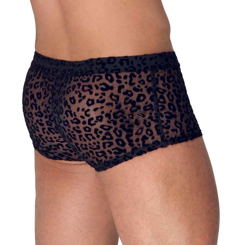Noir Sheer Animal Print Pants – Form-Fitting Transparent Powernet Pants > Clothes > Mens Briefs