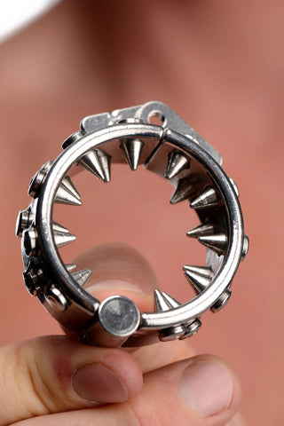 Master Series Impaler Locking Ring with Spikes – CBT Ring > Bondage Gear > Male Chastity