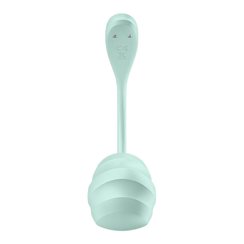 Satisfyer Smooth Petal - Mint Panty Vibrators