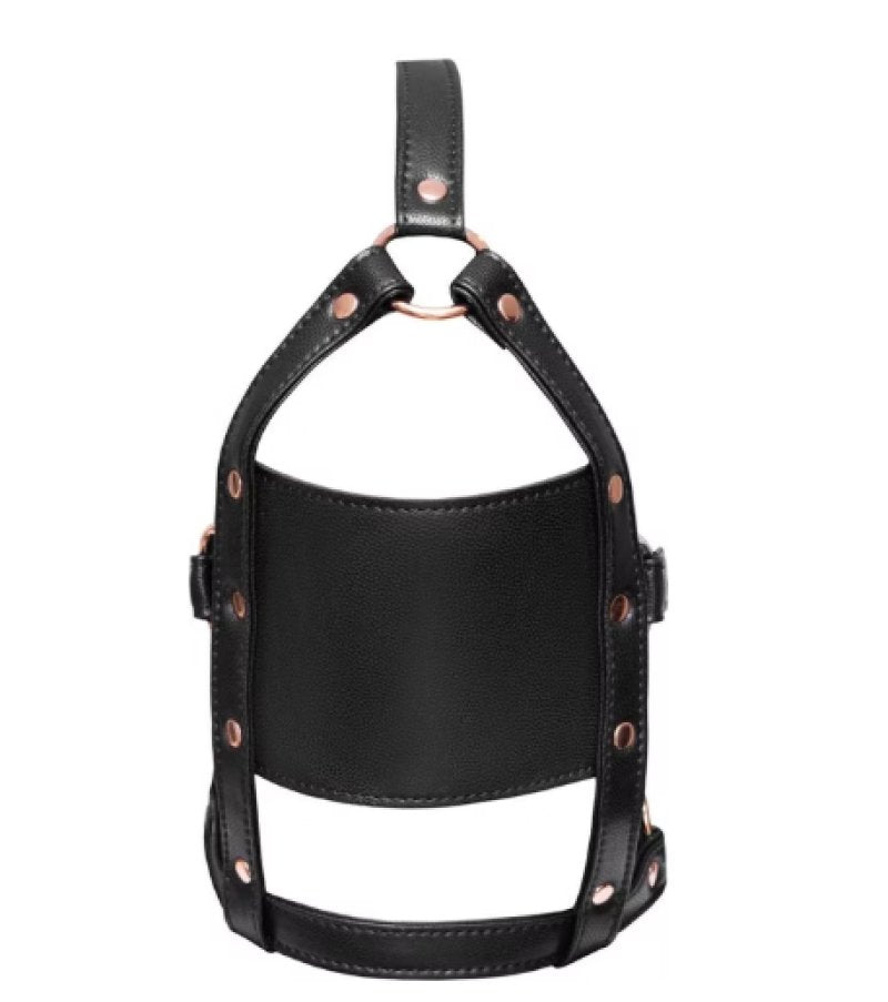 Bad Kitty Adjustable Head Harness with Rose Gold Metal Elements and Silicone Ball Gag Secondary image