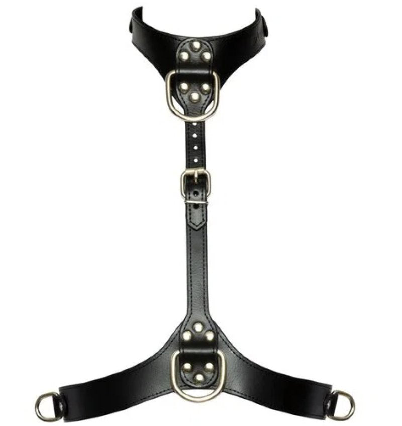 Bad Kitty Chest Harness Black Leather Look Adjustable Size S to L with Silver Metal Details > Clothes > Womens Harnesses Main image