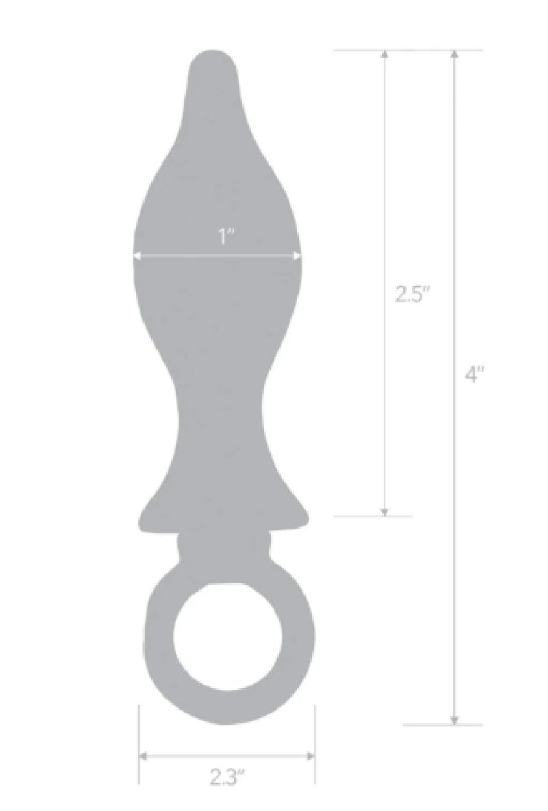 Blue Line 2.5 Inch Stainless Steel Metal Tapered Butt Plug with Loop Hardware