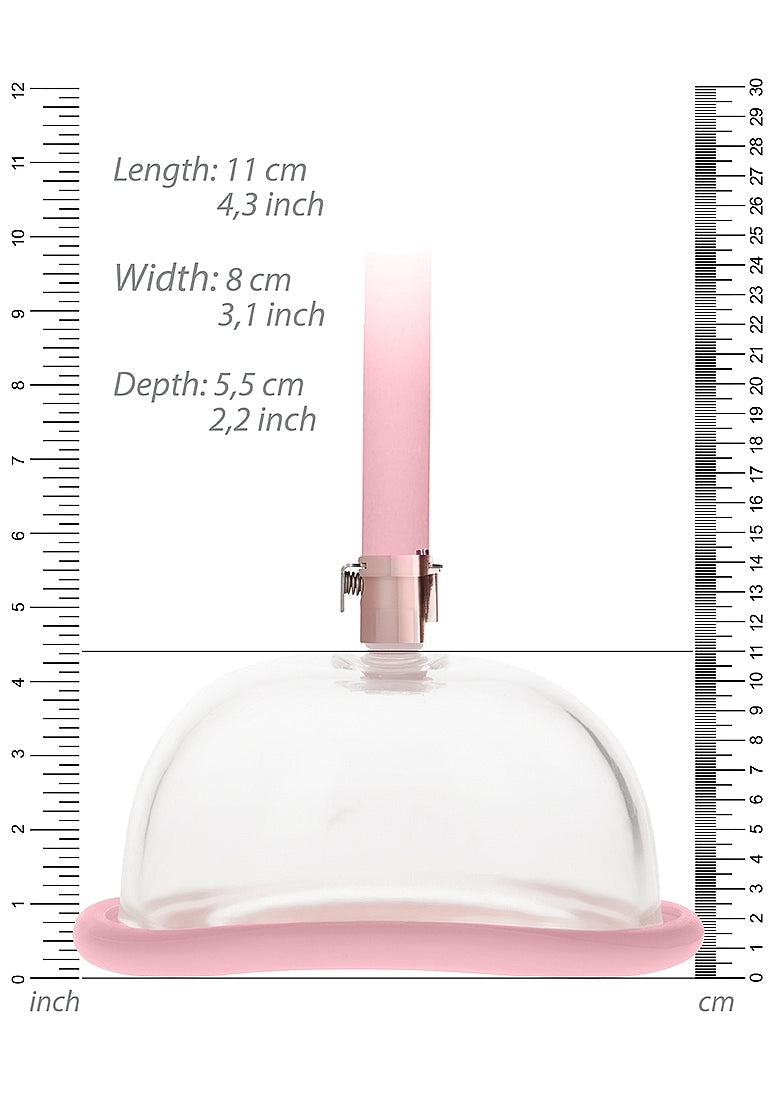 Pumped (Pink) – Strong Suction 3-Speed Pussy Pump > Pumps > Female Pumps
