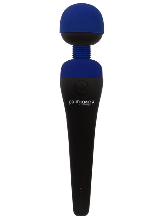 PalmPower Massage Wand Blue