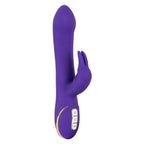 Vibe Couture Rabbit Esquire Purple Silicone Vibrator 22cm Dual Stimulation > Vibrators > Ladies > Rabbit