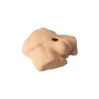 Silexd 7 Inch Apollo Half Torso with Interchangeable Dildo Liquid Silicone Flesh