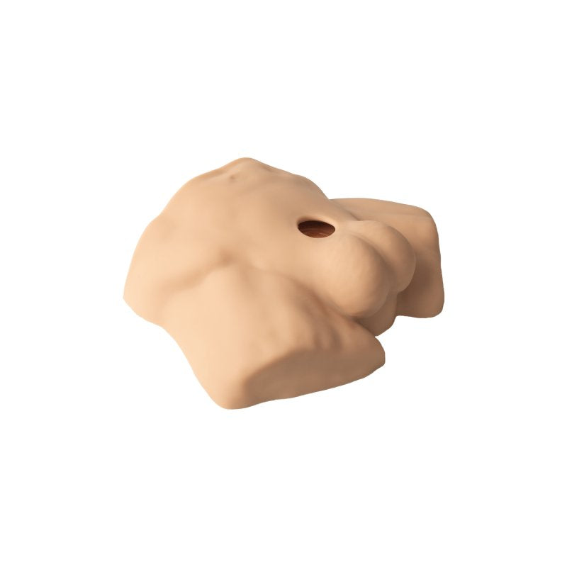Silexd 7 Inch Apollo Half Torso with Interchangeable Dildo Liquid Silicone Flesh