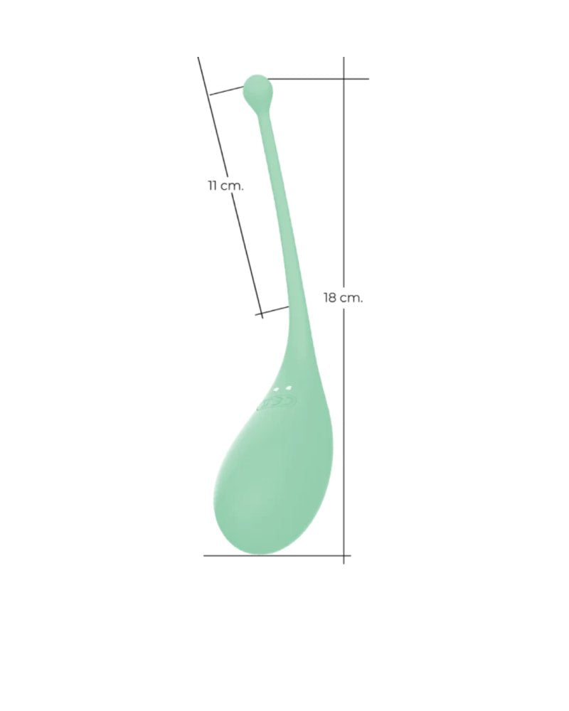 Adrien Lastic Palpitation Mint Vibrating Egg with Nine Function Modes and Remote Control > Sex Toys For Ladies > Vibrating Eggs