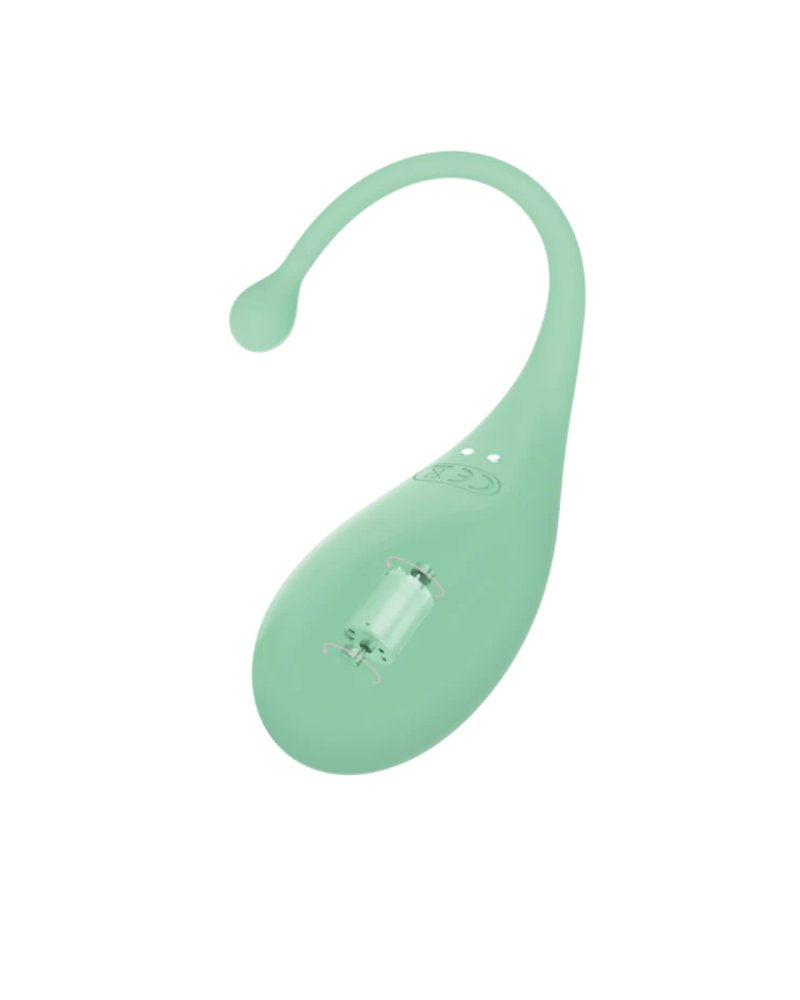 Adrien Lastic Palpitation Mint Vibrating Egg with Nine Function Modes and Remote Control > Sex Toys For Ladies > Vibrating Eggs