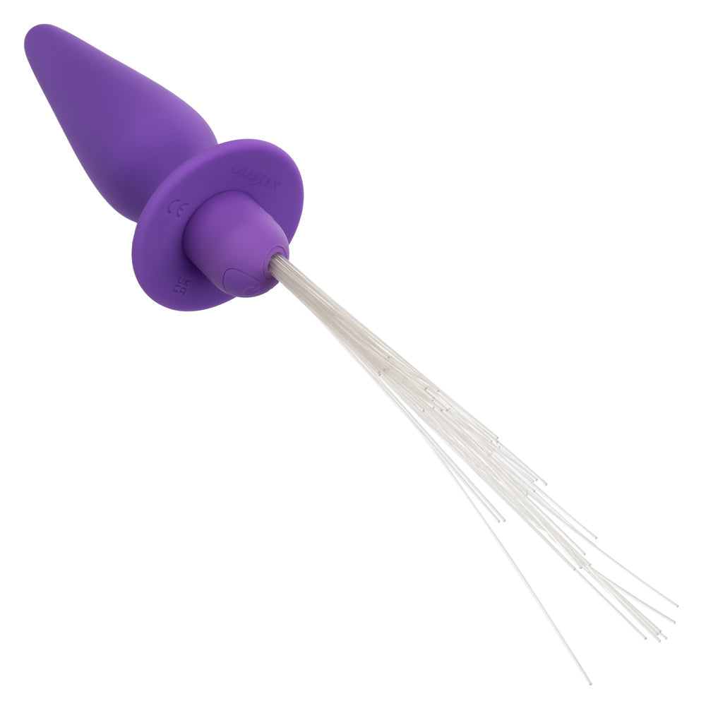 Southern Lights Vibrating Light Up Butt Plug - Purple