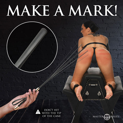 Master Series Sinful Impact Cane Plastic Cane Whip Whips & Paddles