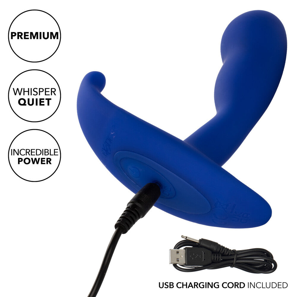Admiral Advanced Curved 4 Inch Probe – Probe > Anal Range > Vibrating Butt Plugs