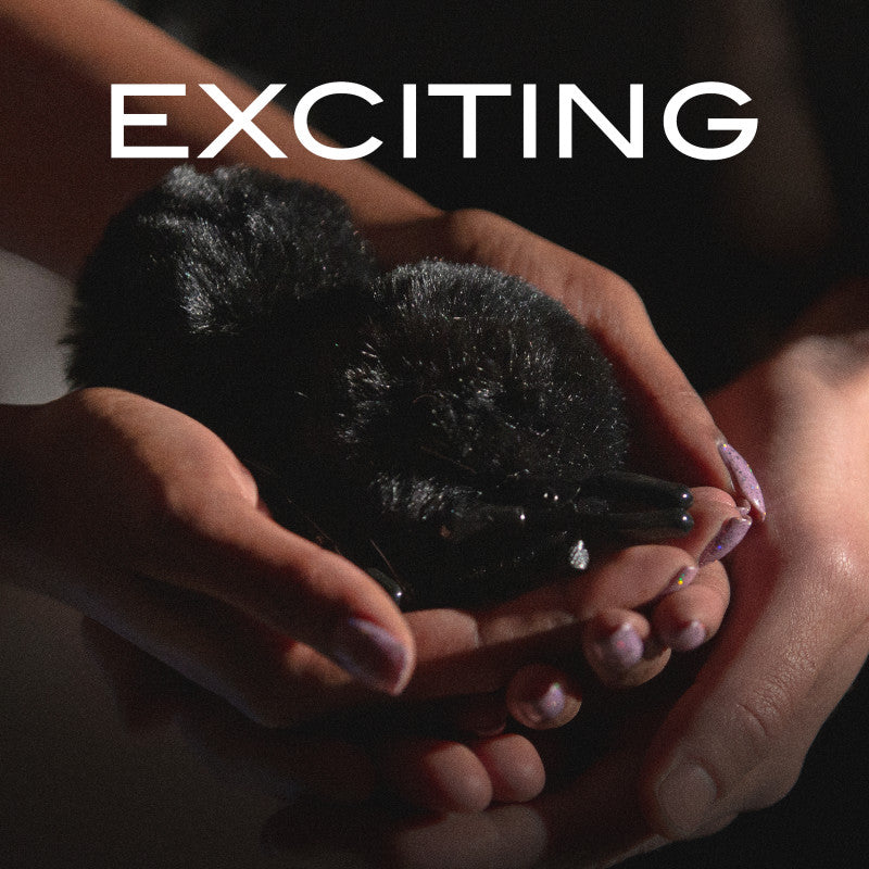 Noir Pom Adjustable Nipple Clamps with Black Furry Tips – Sensation Play Accessory > Sex Toys > Nipple Clamps