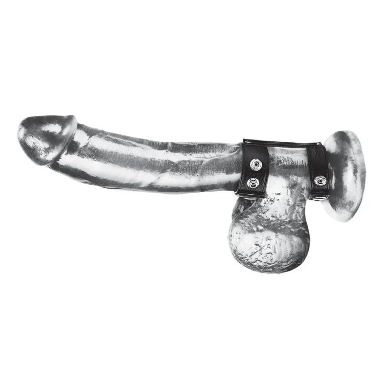 Blue Line Duo Snap Cock And Ball Ring Medium and Large Size > Clothes > Mens Leather