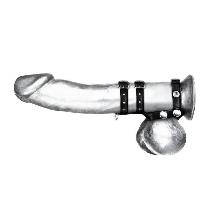 Blue Line Double Cock And Ball Strap With Leash Lead Adjustable Male Genital Constriction Gear > Clothes > Mens Leather