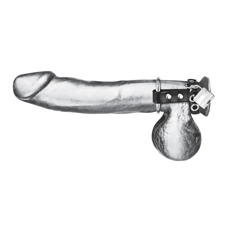 Electric EEL | Blue Line Metal Cock Ring With Locking Ball Strap