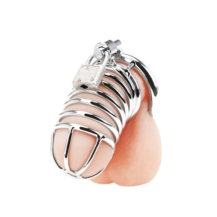 Blue Line Deluxe Metal Chastity Cage with Secure Lock Rings > Bondage Gear > Male Chastity Main image
