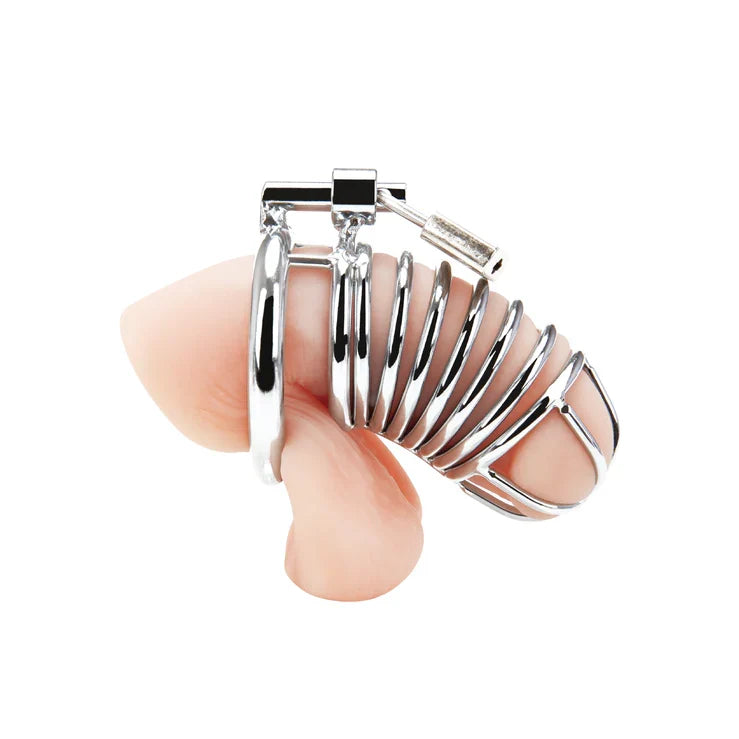 Blue Line Deluxe Metal Chastity Cage with Secure Lock Rings Secondary image