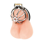 Blue Line Little Cock Stainless Steel Male Chastity Cage > Bondage Gear > Male Chastity