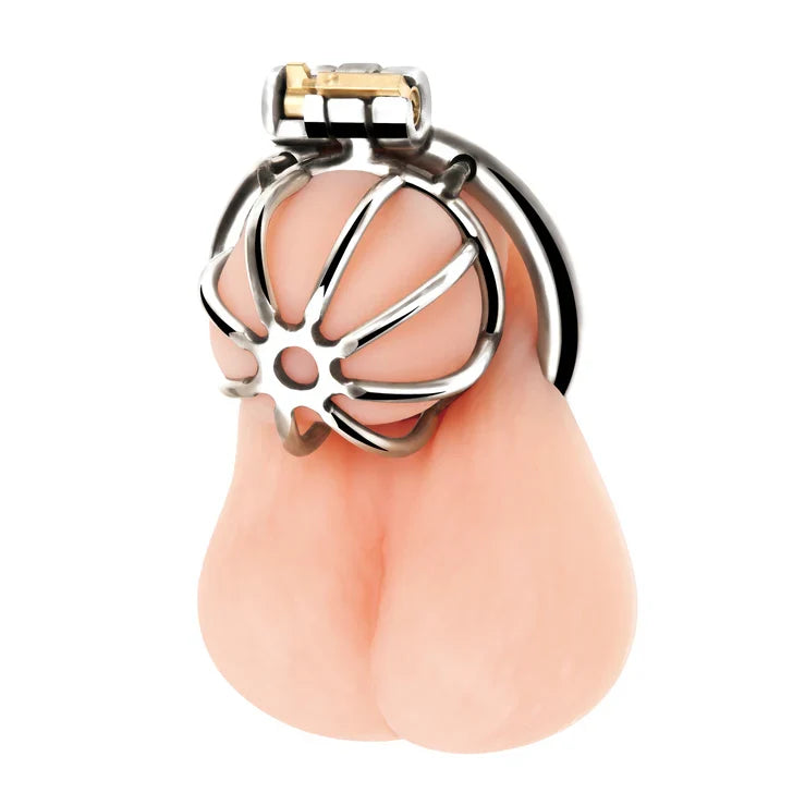 Blue Line Little Cock Stainless Steel Male Chastity Cage > Bondage Gear > Male Chastity