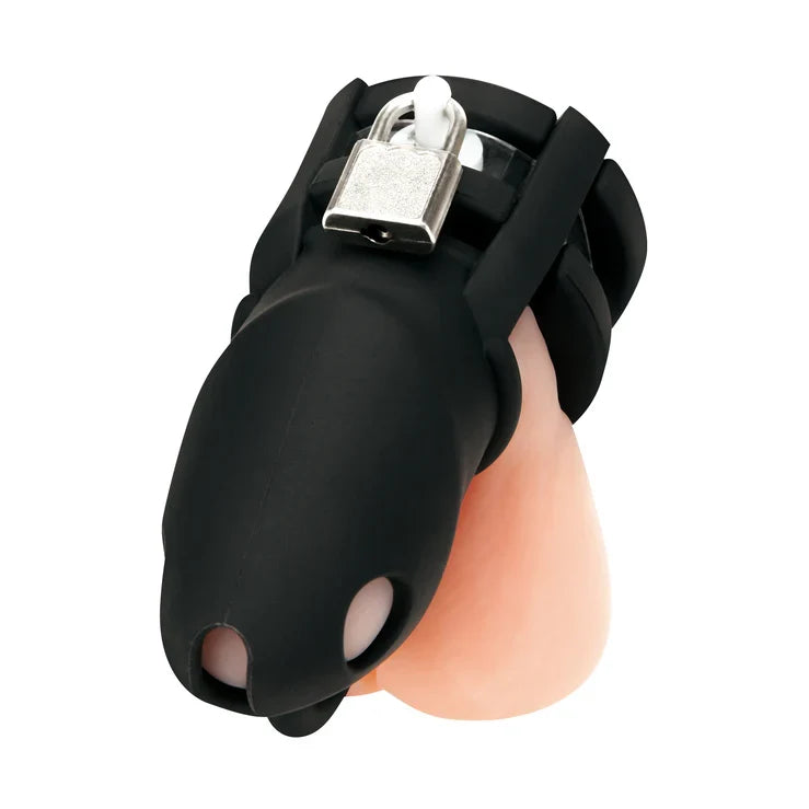 Blue Line Silicone Small 2 Inch Cock Cage with Ball Divider > Bondage Gear > Male Chastity Main image