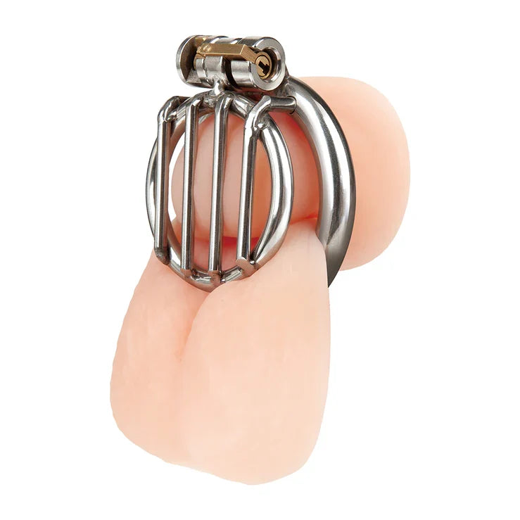 Blue Line Stainless Steel Inverted Micro Jail Time Chastity Cage > Bondage Gear > Male Chastity Main image