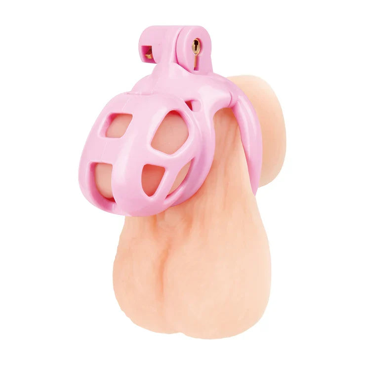 Blue Line Small Humiliation Acrylic Prisoner Cock Cage - Pink > Bondage Gear > Male Chastity Main image