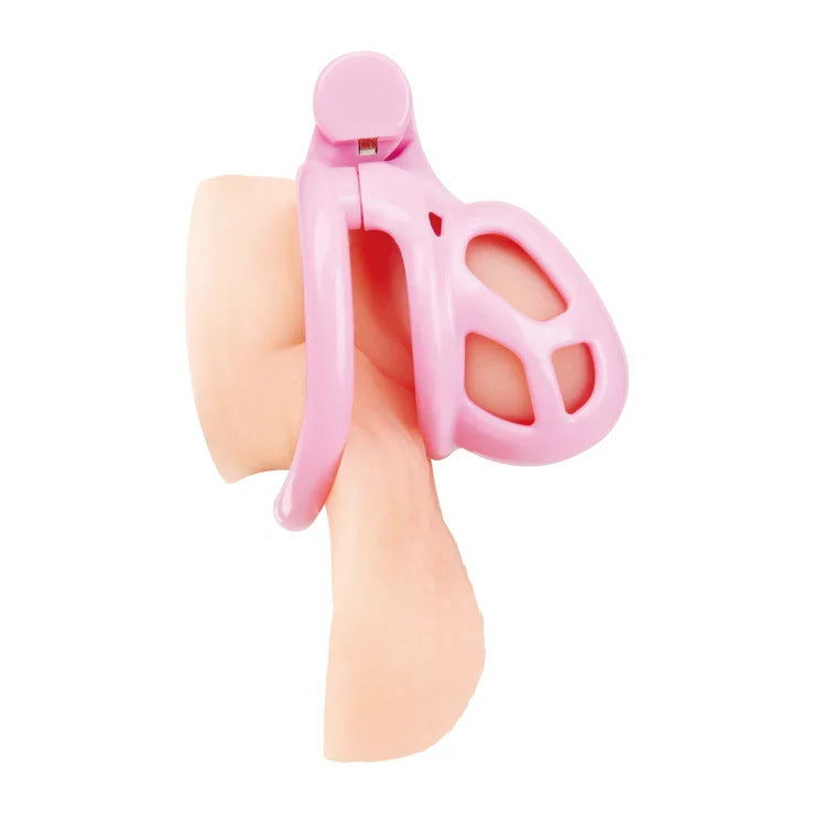 Blue Line Small Humiliation Acrylic Prisoner Cock Cage - Pink Secondary image