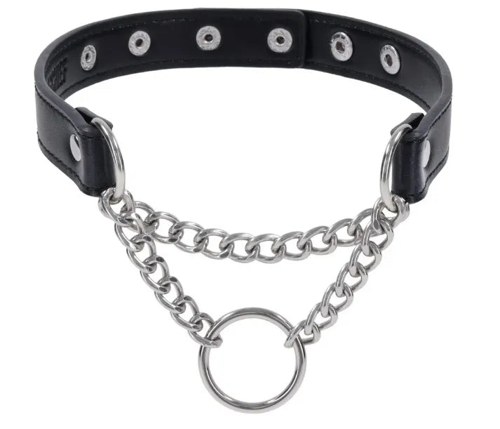 Shadow Day Collar – Faux Leather Collar with Silver Hardware > Bondage Gear > Collars & Leashes